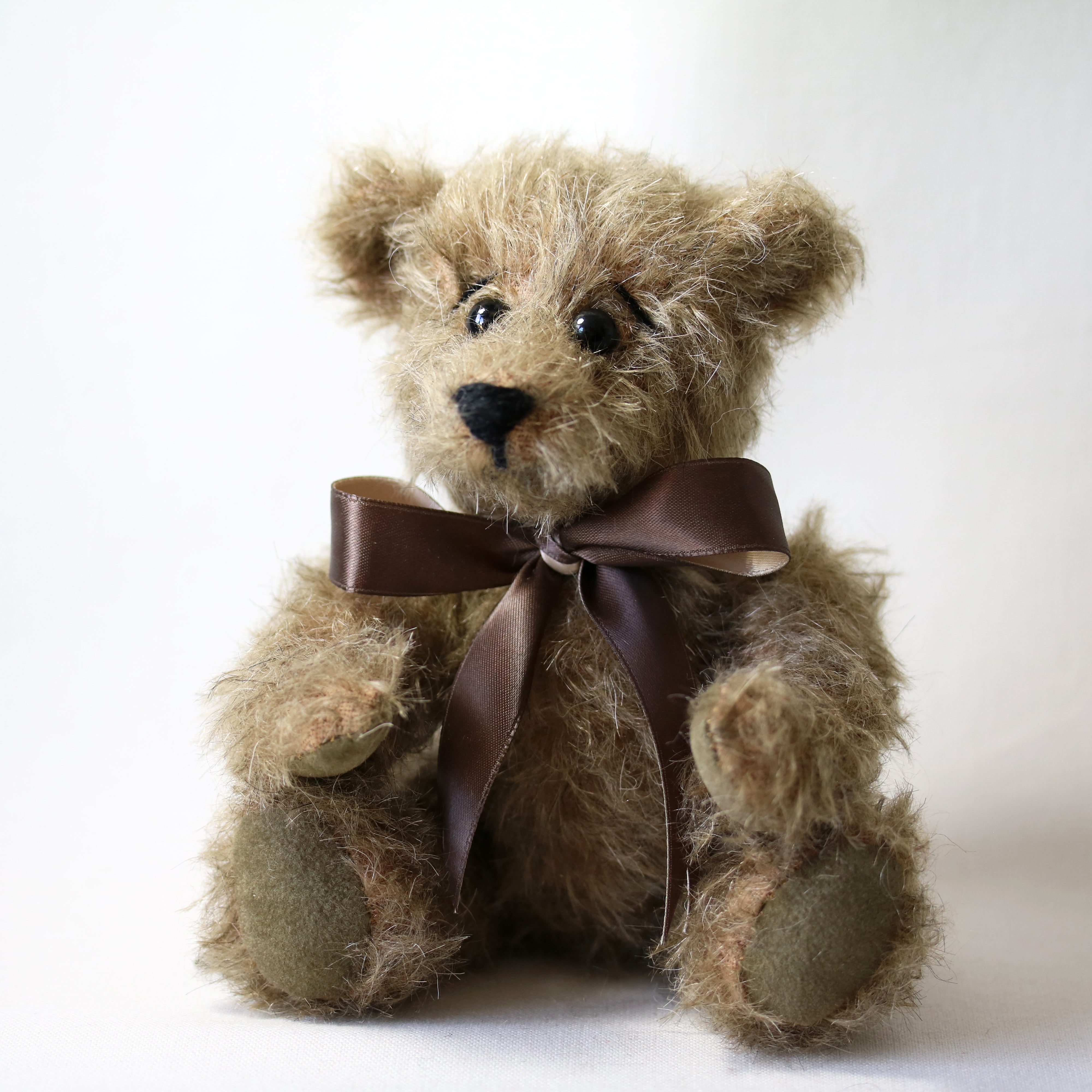 Canterbury Bears | Find Your Forever Friend